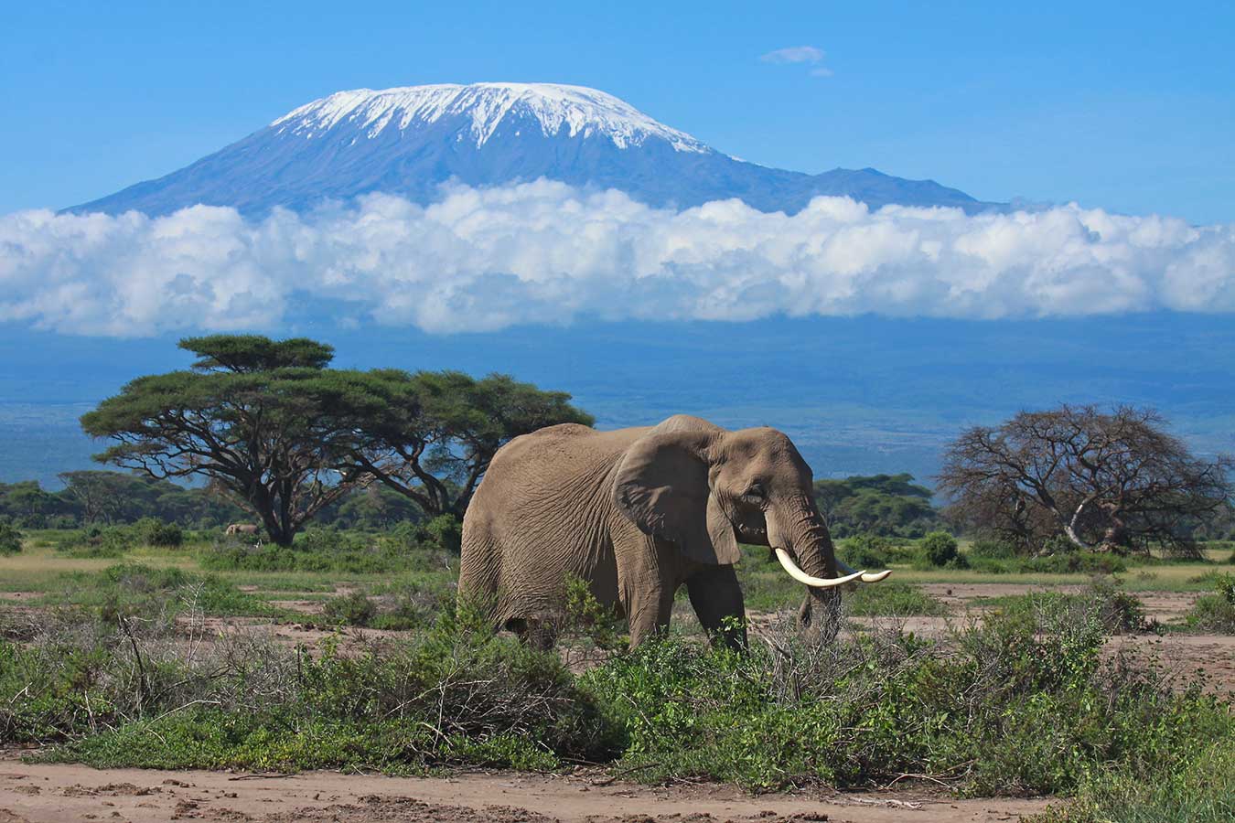 Kilimanjaro National Park 