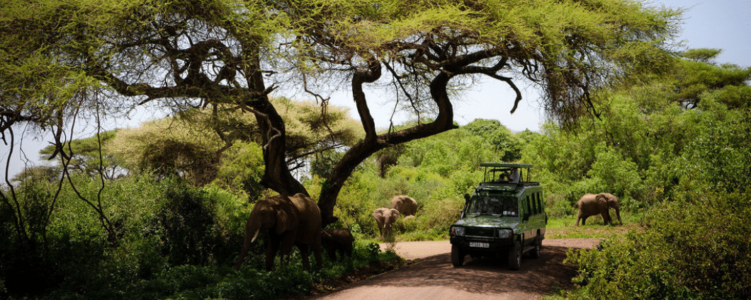 Serengeti National Park 