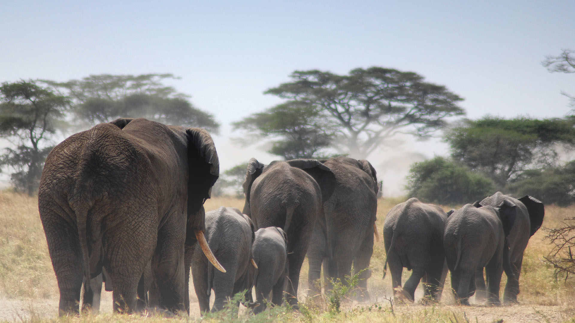 Kilimanjaro National Park