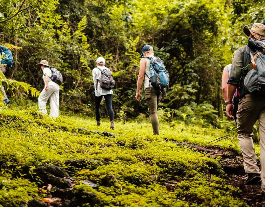 Walking-safari-in-Arusha-national-park