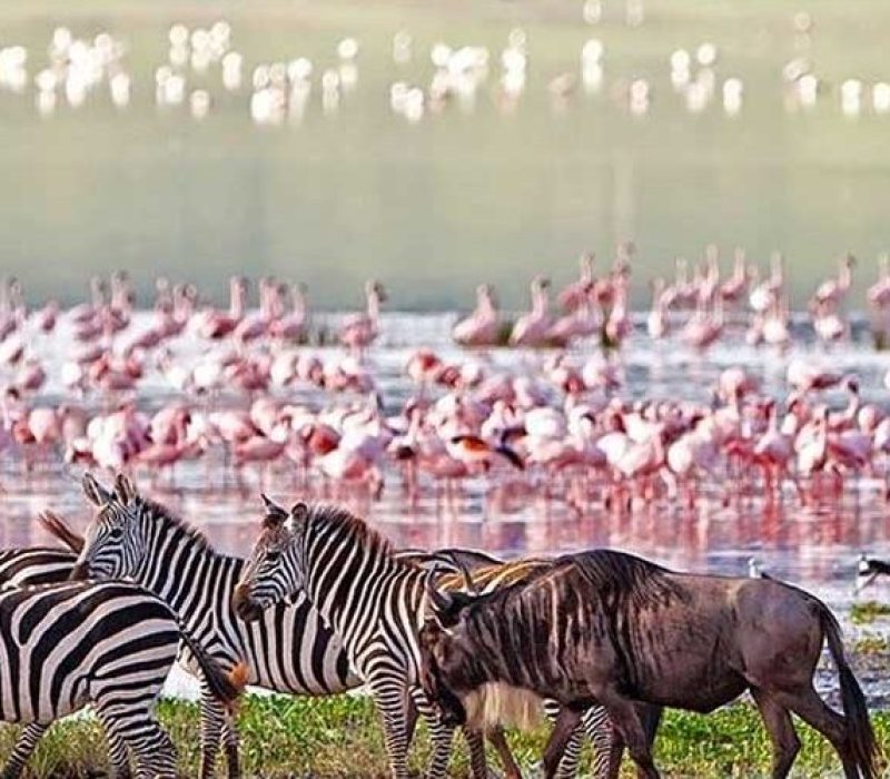 lake-manyara-national-park-banner